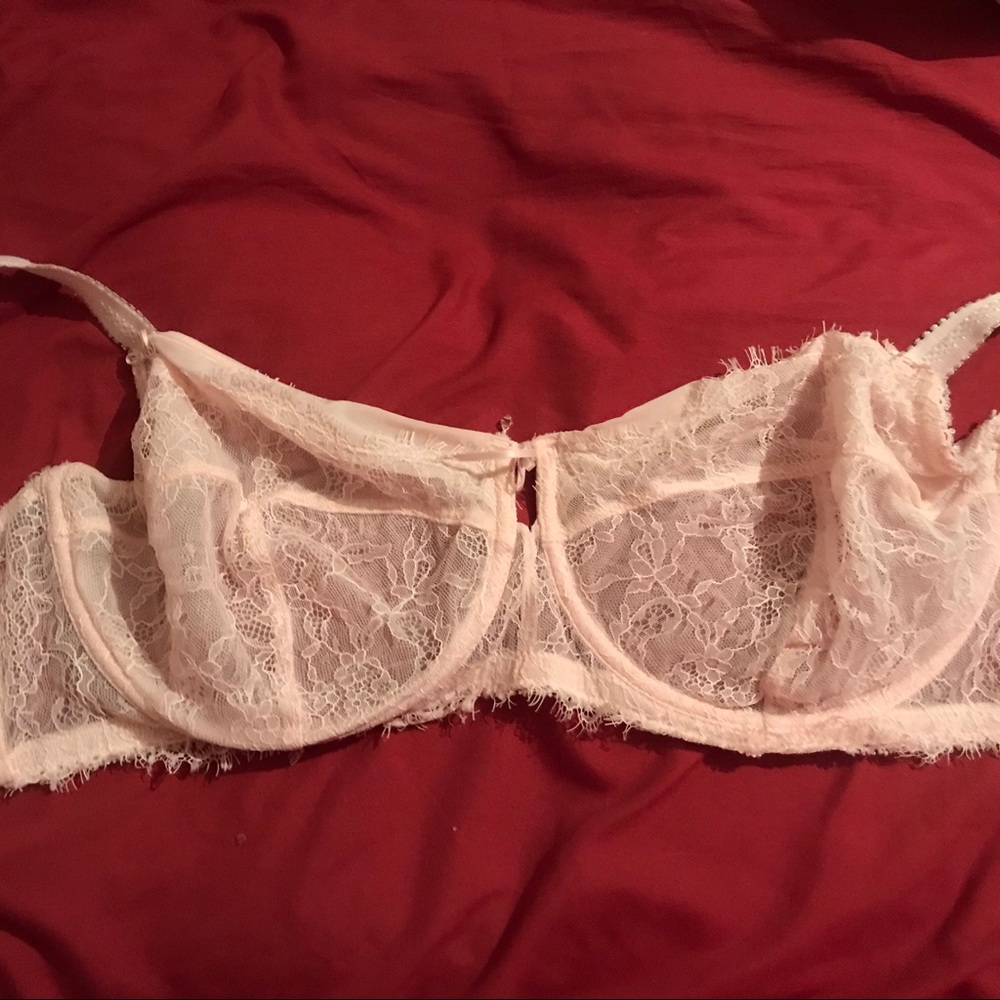 Ashley Graham Fatal Attraction Underwire Bra 42DDD